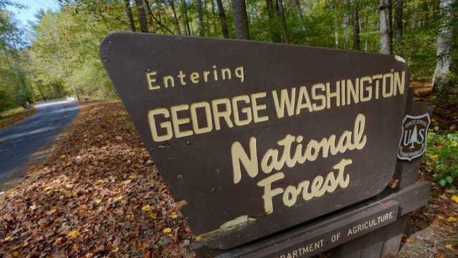 Minutes from George Washington National Forest!