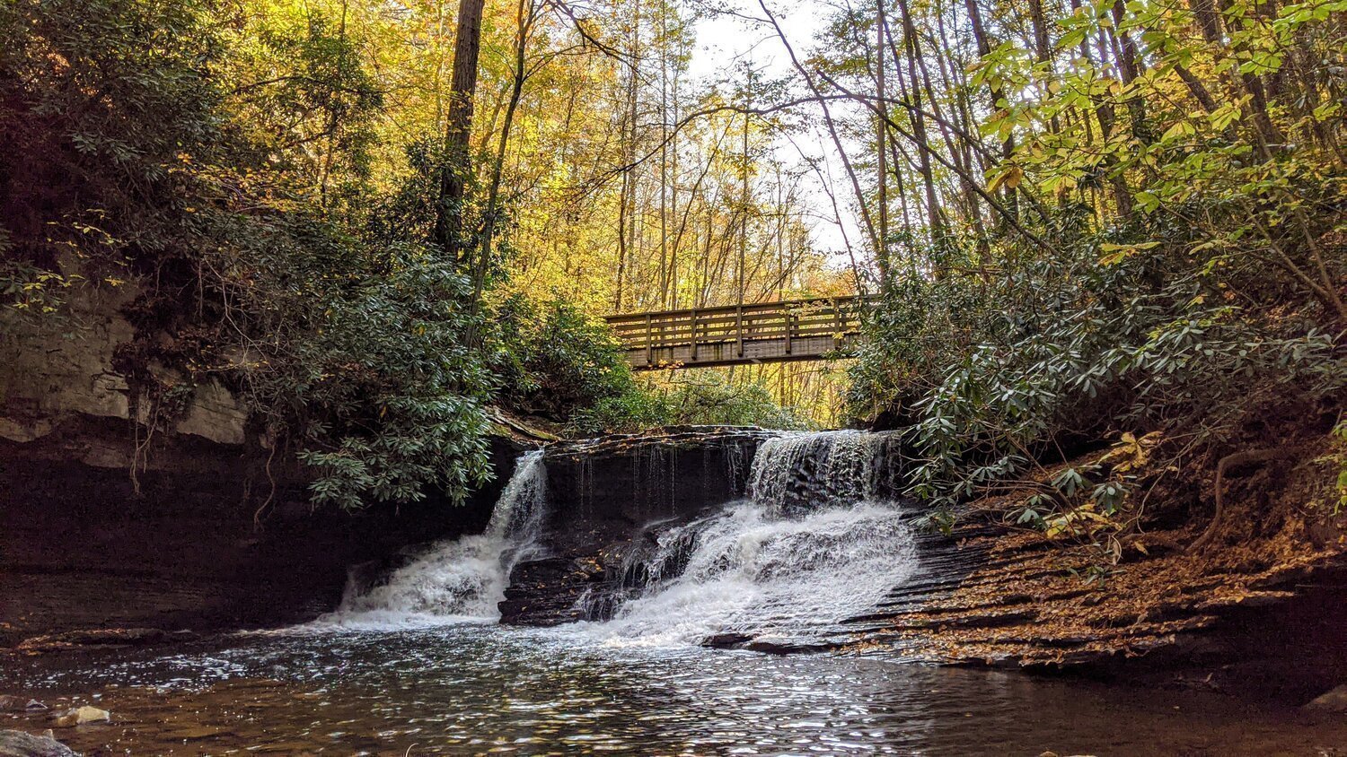 Views from the trails