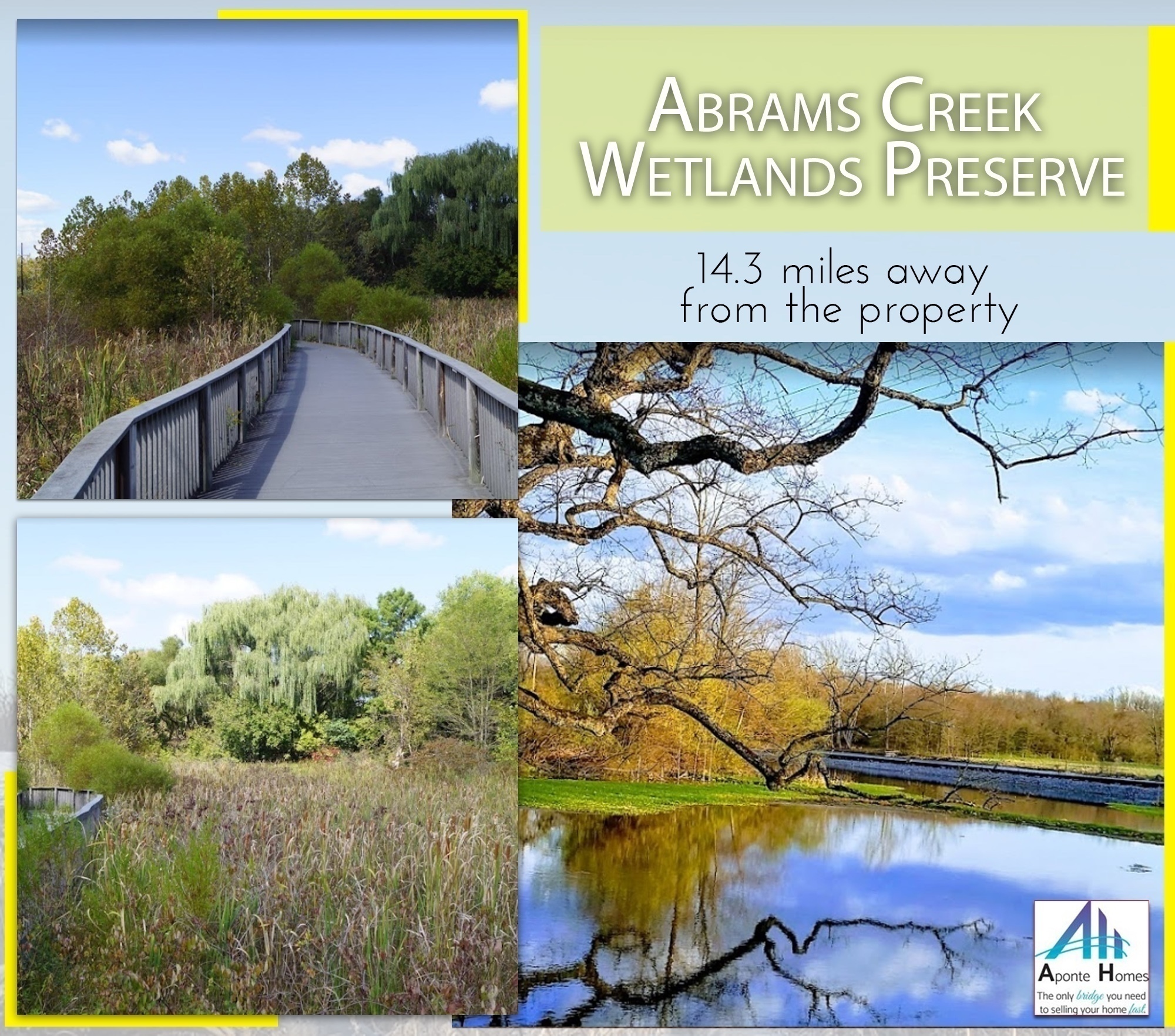 Abrams Creek Wetlands Preserve