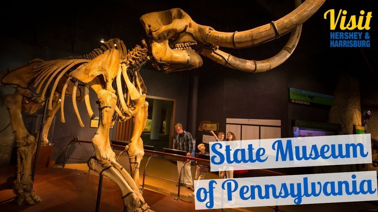 Visit the Pennsylvania State Museum